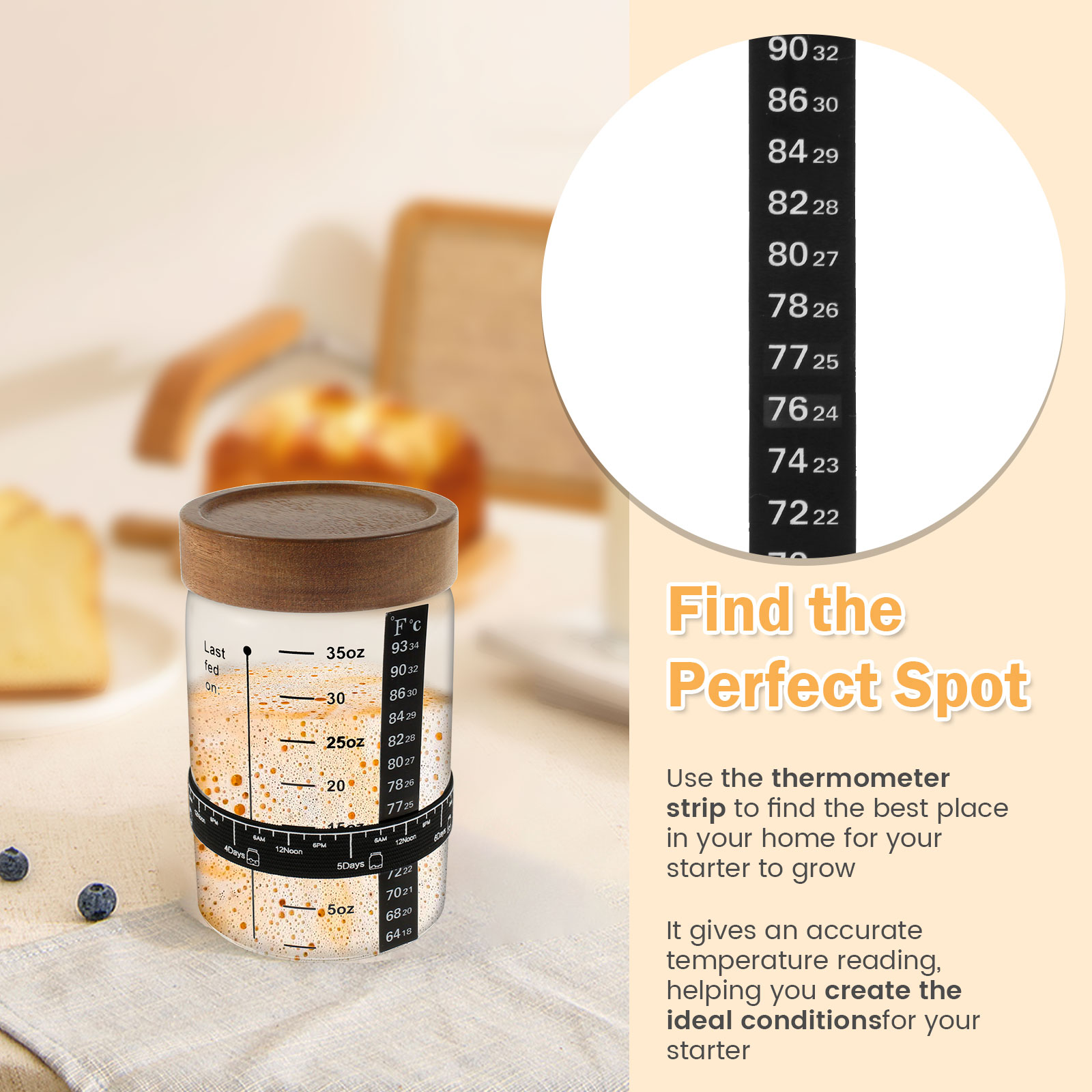 Kit de tarro de inicio de masa - Food Storage Kits reseña y precio