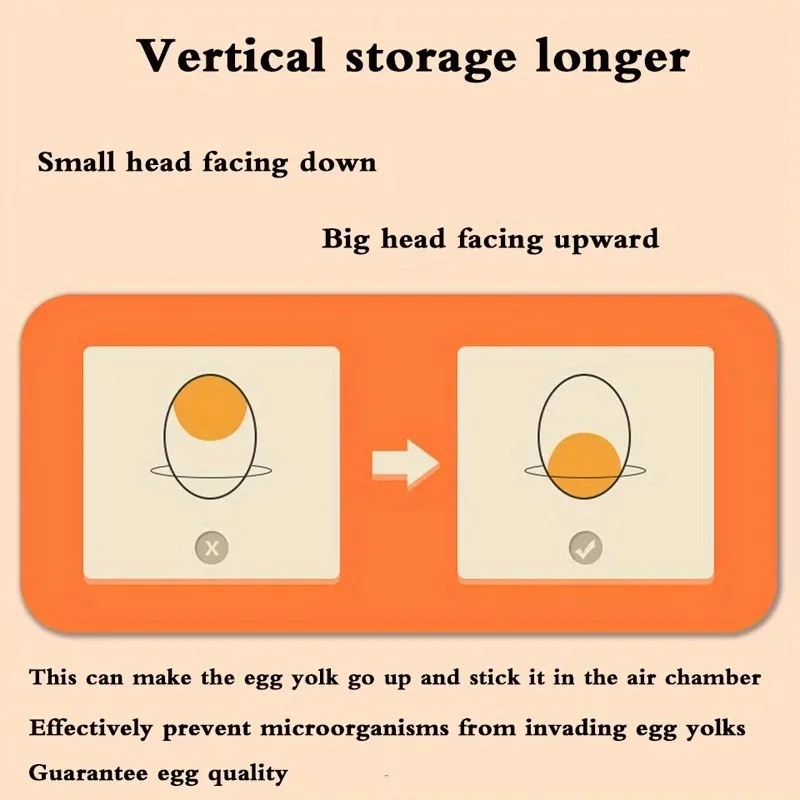Organizador de Huevos para Coc - Egg Storage Holder reseña y precio